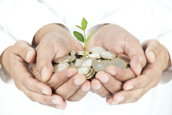 Money Tree in Hands